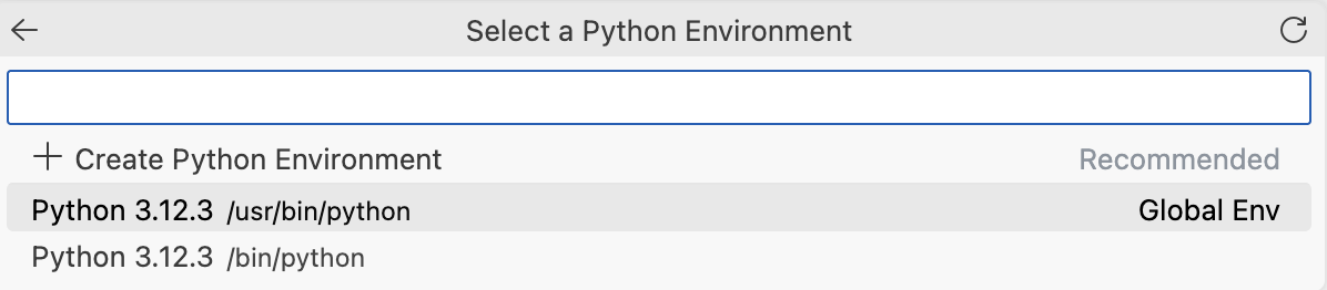 VS Code Kernel Specific